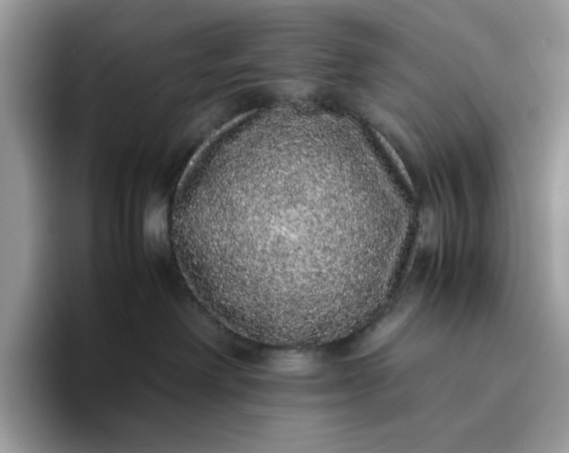 X0000095950238200801251136