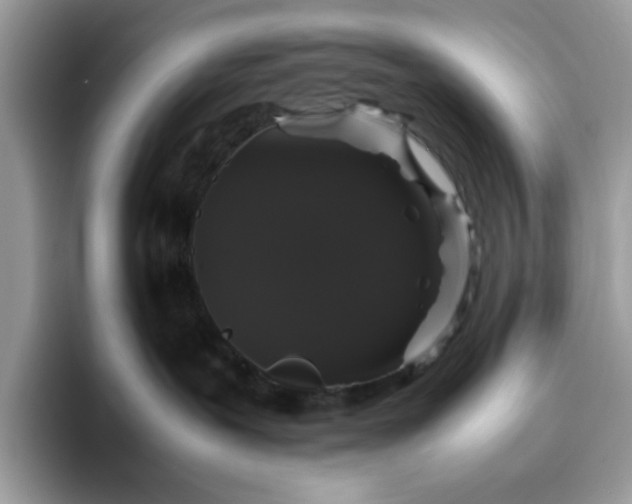 X0000095950239200801251136