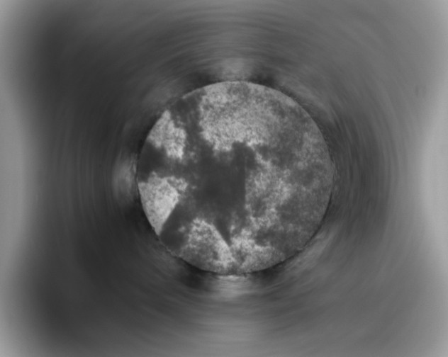 X0000095950240200801251136