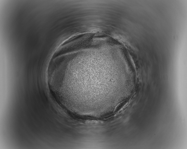 X0000095950242200801251135