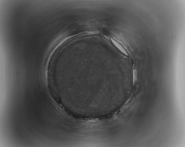 X0000095950243200801251135