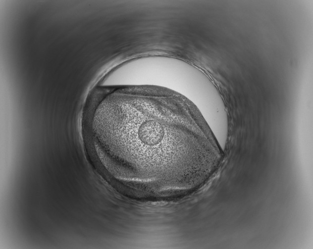 X0000095950244200801251135