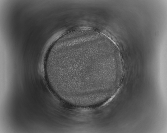 X0000095950245200801251135