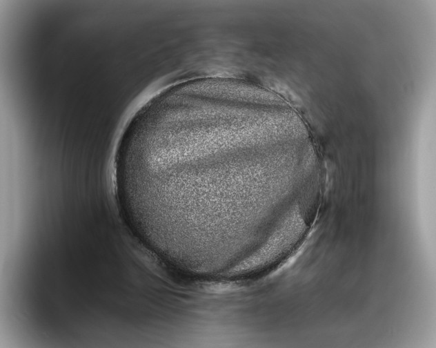 X0000095950246200801251136