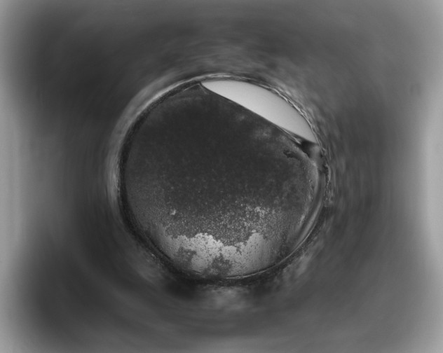 X0000095950247200801251136