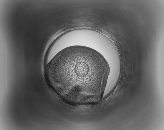 X0000095950248200801251136