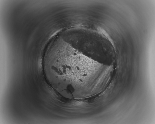 X0000095950249200801251136