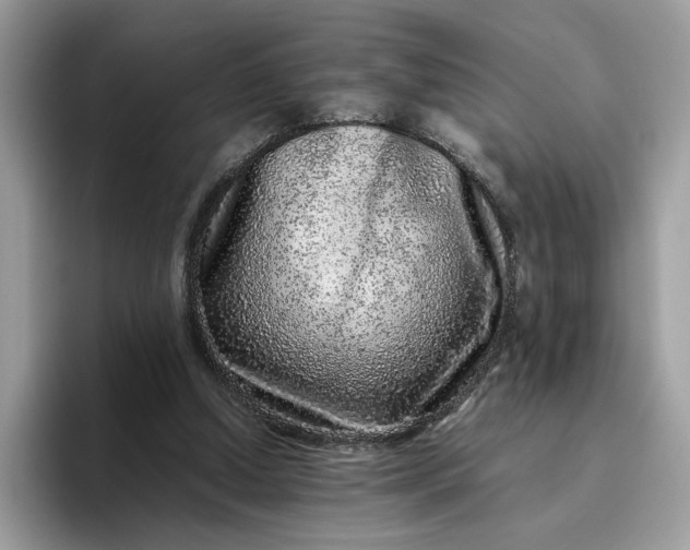 X0000095950250200801251136