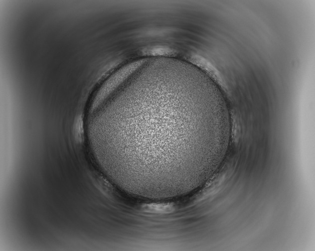 X0000095950251200801251136