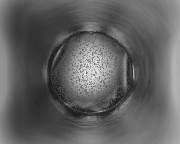 X0000095950252200801251136