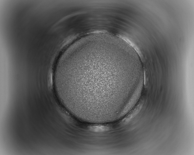 X0000095950253200801251136