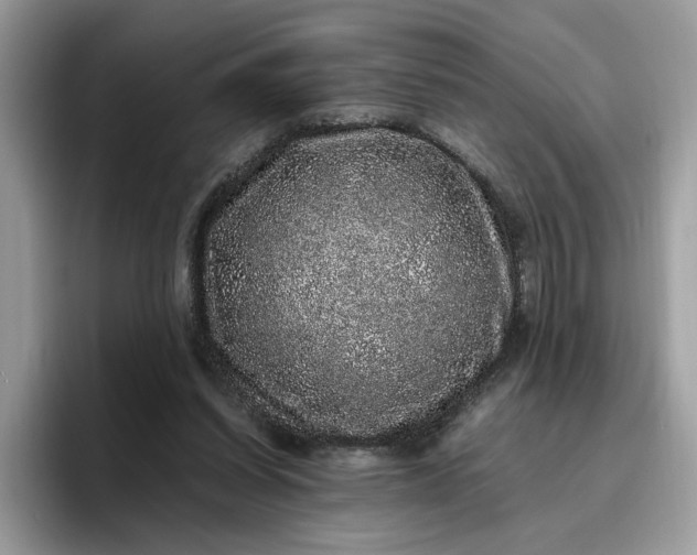 X0000095950254200801251136