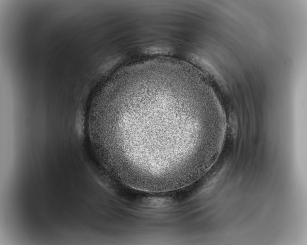 X0000095950255200801251136