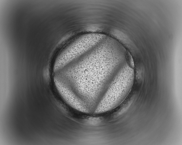 X0000095950256200801251136