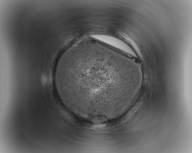 X0000095950257200801251136