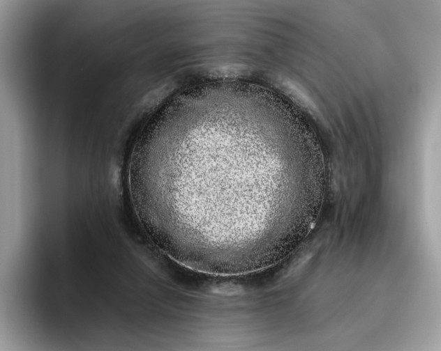 X0000095950258200801251136