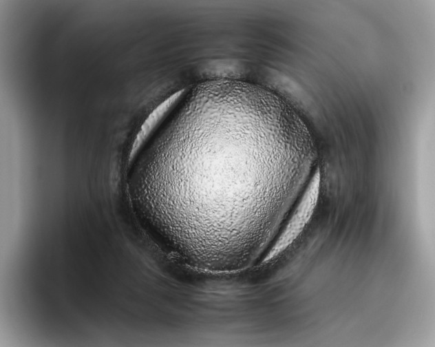 X0000095950259200801251136