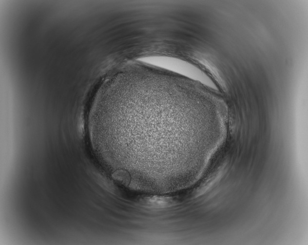 X0000095950261200801251136