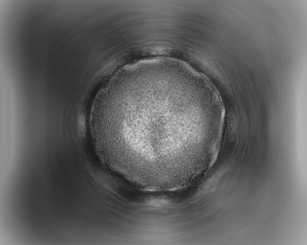 X0000095950262200801251136