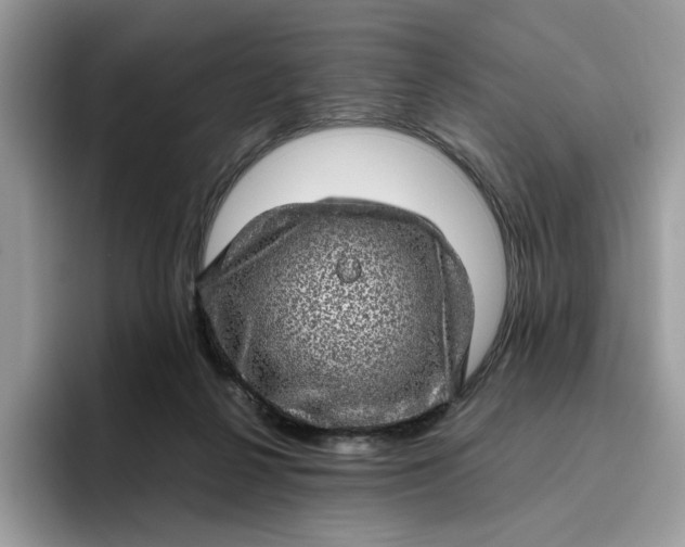 X0000095950264200801251136