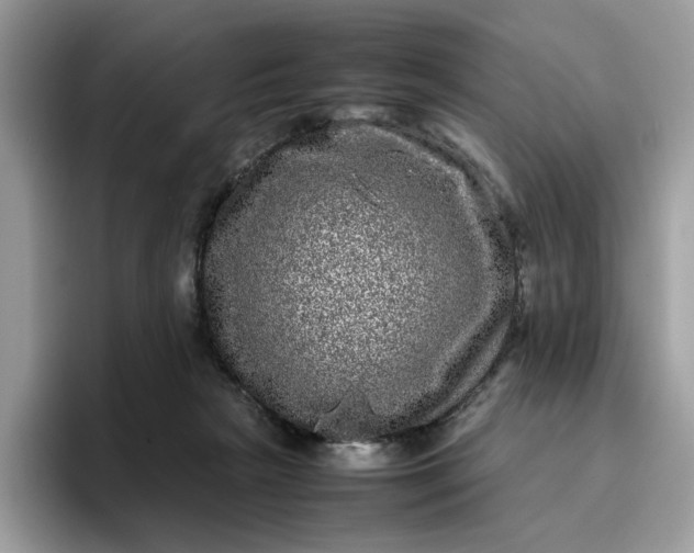 X0000095950265200801251136