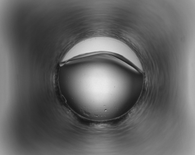 X0000095950268200801251136