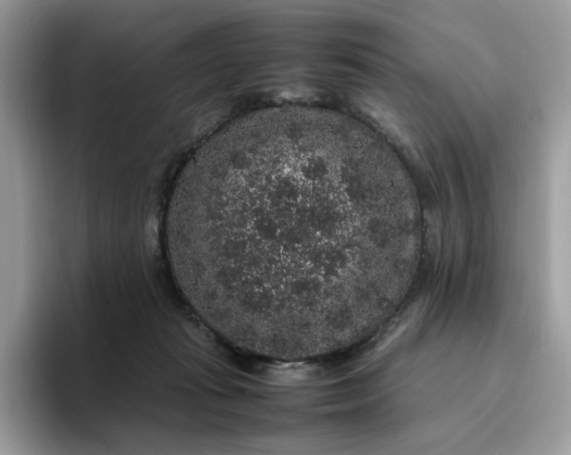 X0000095950269200801251136