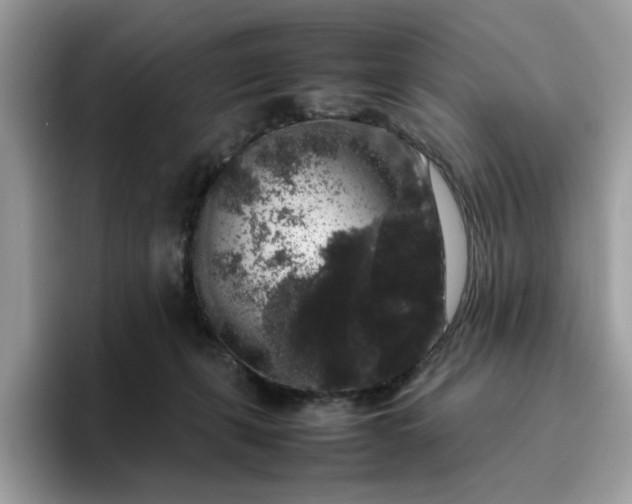 X0000095950271200801251136