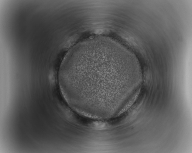 X0000095950272200801251136