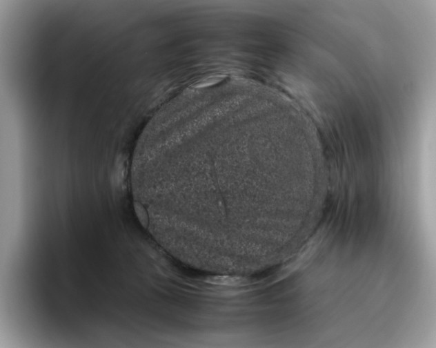 X0000095950273200801251136