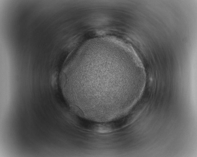 X0000095950275200801251136