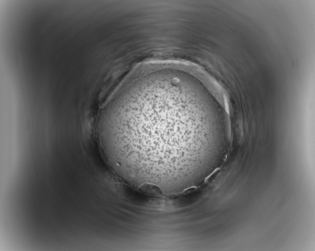 X0000095950276200801251136