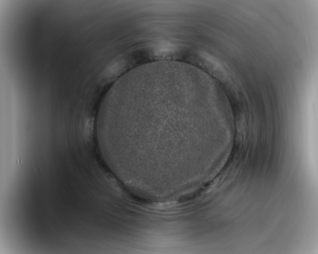 X0000095950278200801251136