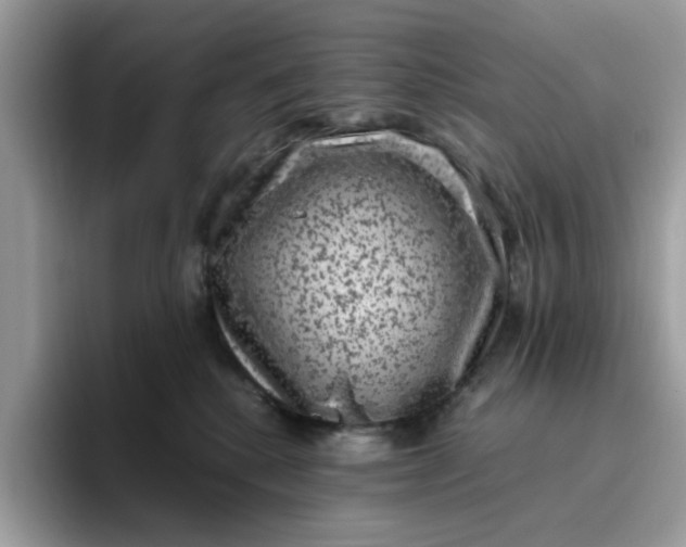 X0000095950280200801251136