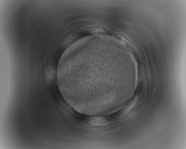 X0000095950281200801251136