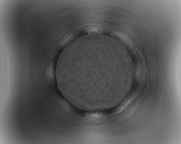 X0000095950282200801251136