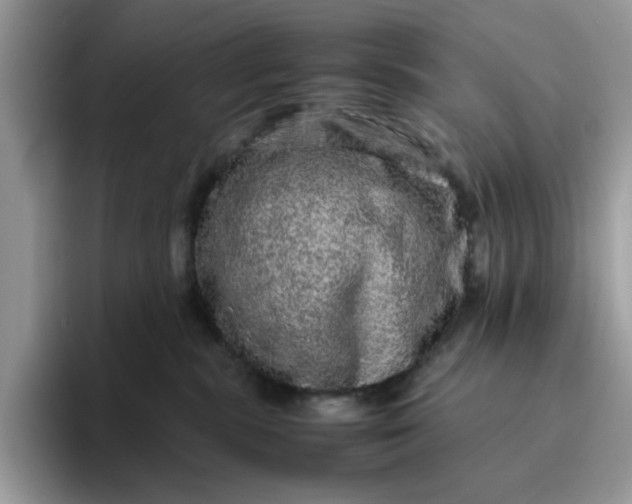 X0000095950283200801251136