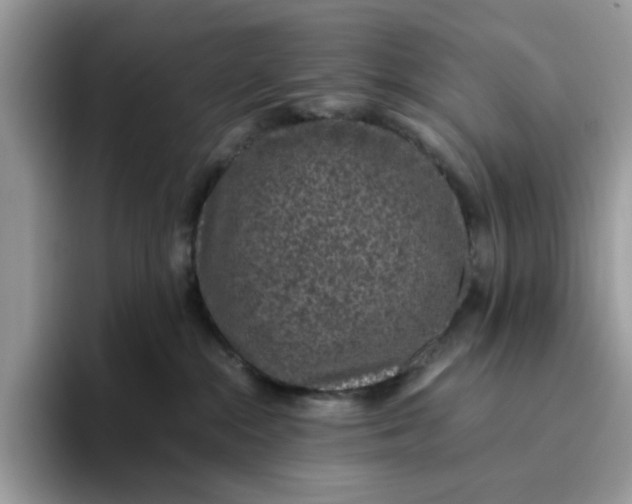 X0000095950284200801251136