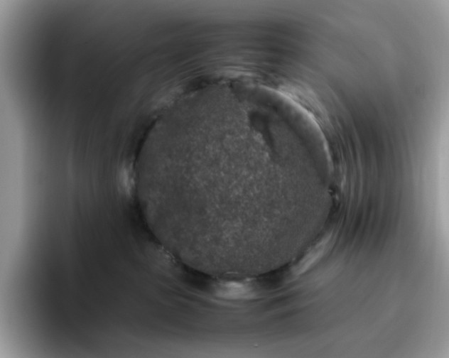 X0000095950285200801251136