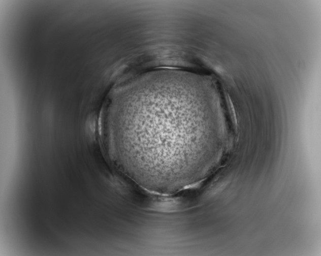 X0000095950288200801251136