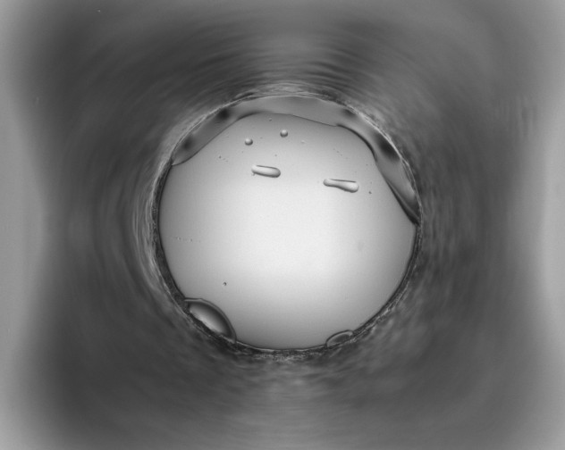 X0000095950289200801251135