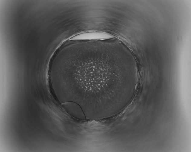 X0000095950290200801251135