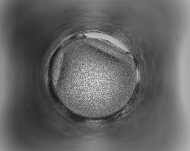 X0000095950291200801251135