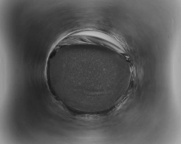 X0000095950292200801251135