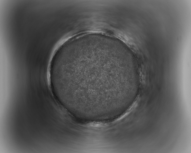 X0000095950294200801251135