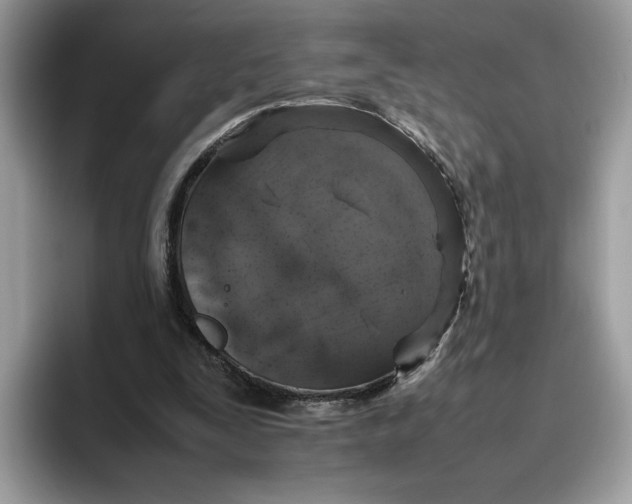 X0000095950295200801251135