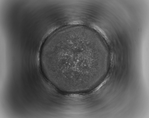 X0000095950298200801251135