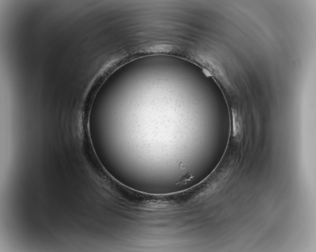 X0000095950300200801251135