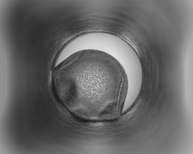 X0000095950301200801251135