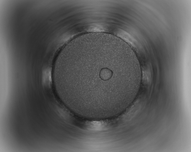 X0000095950302200801251135